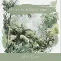 Gentle Rainforest
