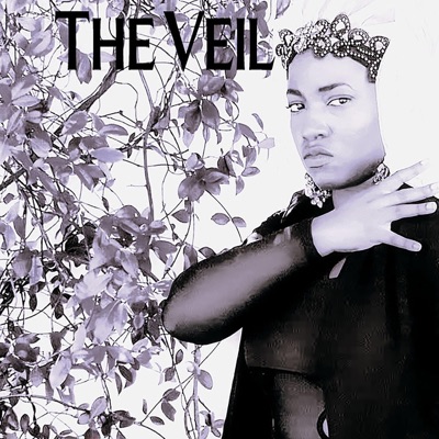 The Veil - Single