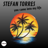 Stefan Torres - YOU CAME INTO MY LIFE artwork