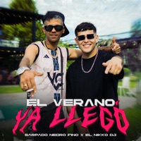 El Verano Ya Llegó - Single - El Nikko DJ & Sarpado Negro Fino