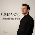 SEHERDE BIR BAGA GIRDIM
