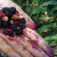 holdofu - Single - Pyro