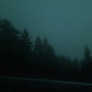 im sorry - EP