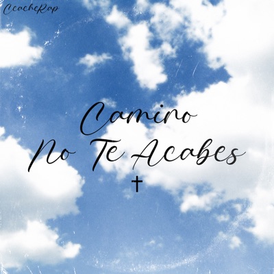 Camino No Te Acabes - Single