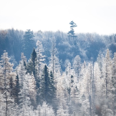 Here's a Toast (feat. neek) - Single