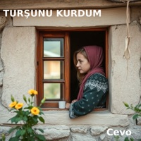 Turşunu Kurdum - Single - cevo
