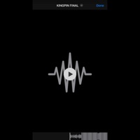 KINGPIN. - Single - paki