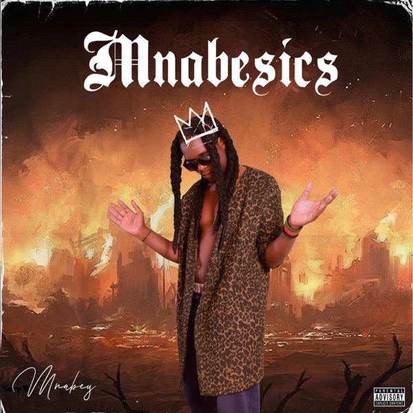 mnabesics