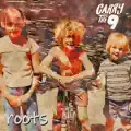 Roots