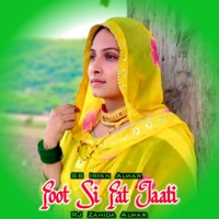 Foot Si Fat Jaati (feat. RJ Zahida Alwar) - EP - SB Irfan Alwar