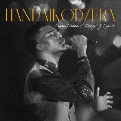 Handaikodzera (feat. Denzel) - Single