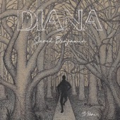 Diana artwork
