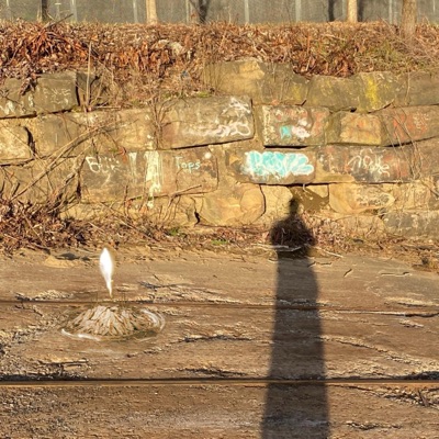 YOU CAN SEE THEM CAN'T YOU? - EP