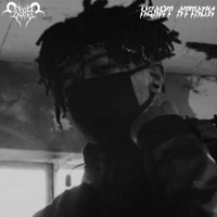 SPEAKER TROUBLE. (Heart Attack Flip) - Single - Valhallium
