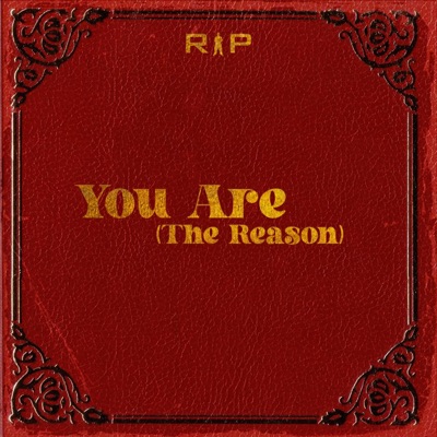 You Are (The Reason) [Radio Edit] - Single