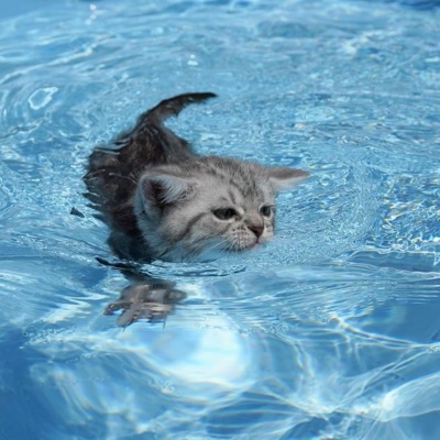 luvmykitten & kaxzyee - Wakacyjny Romas