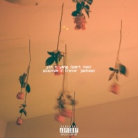 yin n yang (feat. Trevor Jackson) - Single - pisceze