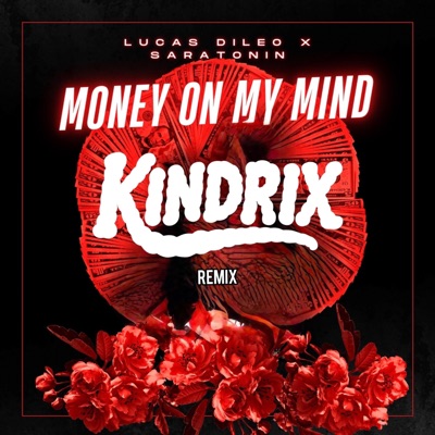 Money on My Mind (Kindrix Remix) - Single