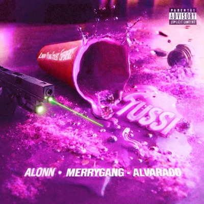 TUSSI (feat. Merry Gang & Alvaradomusic) - Single