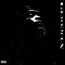 Pay The Fee (feat. Deedotwill) Rott