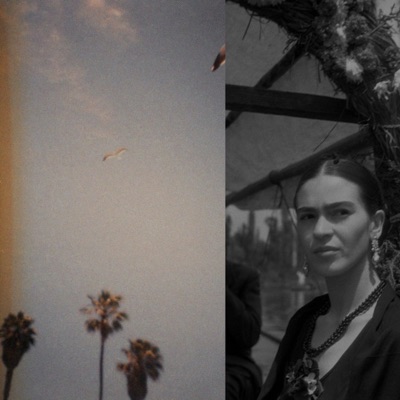 Insecto Gris - Single