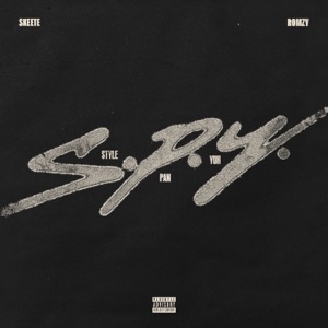 S.P.Y (Style Pan Yuh) [feat. Romzy] - Single