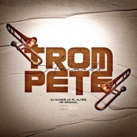 Trompete Animado - Single - DJ GUNIKE, WR ORIGINAL & mc pl alves