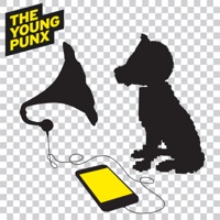 The Best of... 2014 - 2024 - The Young Punx
