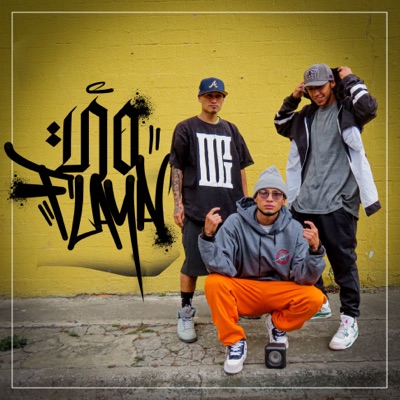 No Flaya - Single