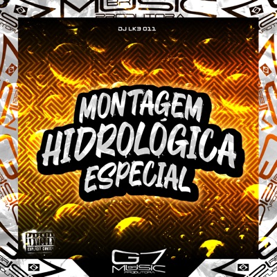 Montagem Hidrológica Especial - Single