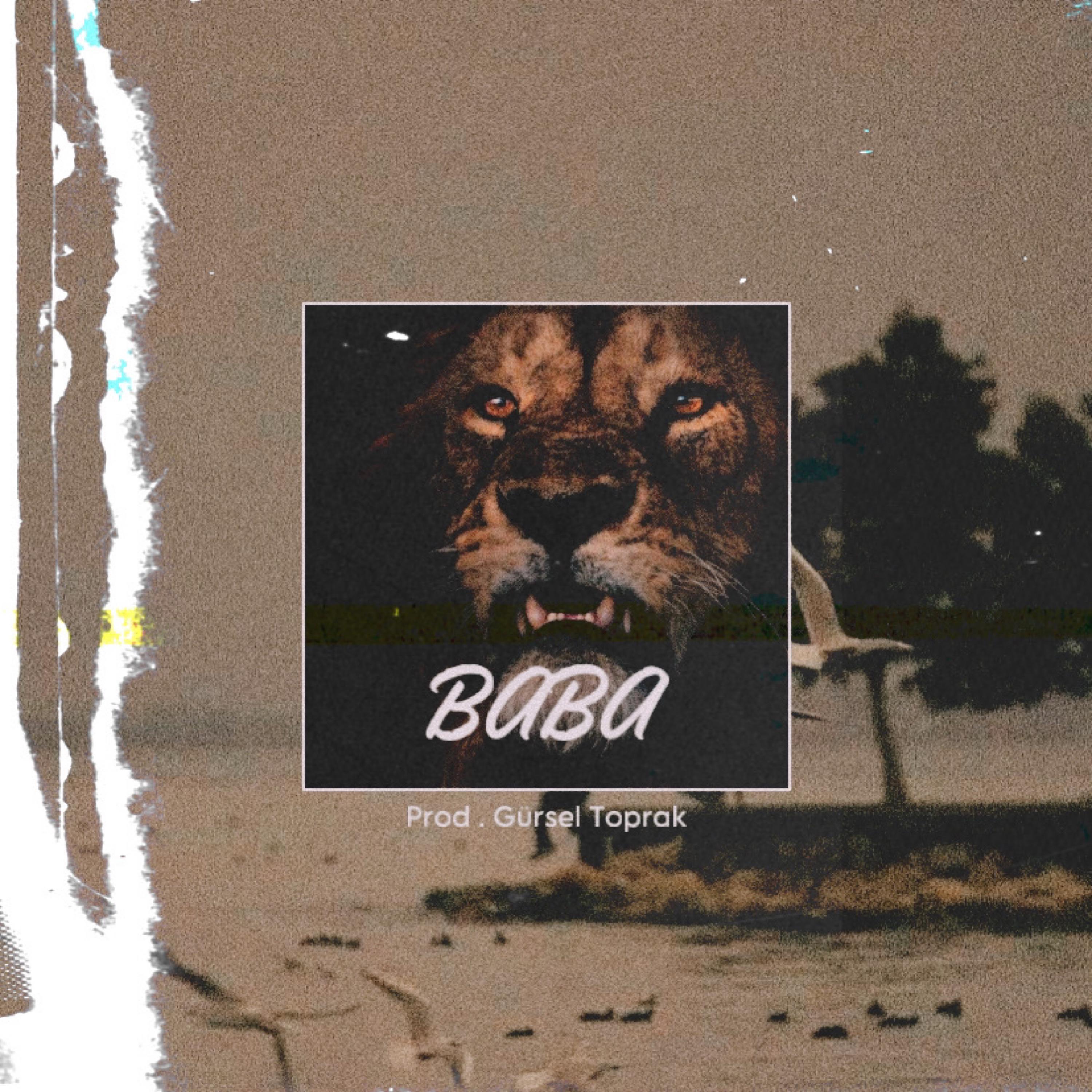 Baba - Zurna Mafia müziği (Mafia Version) - Single