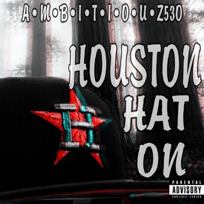 HOUSTON HAT ON - Single