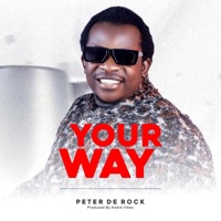 Your Way - Single - PETER DE ROCK