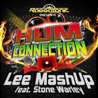 Hum Connection (Radio Mix) [feat. Stone Warley] - Single - Lee Mashup