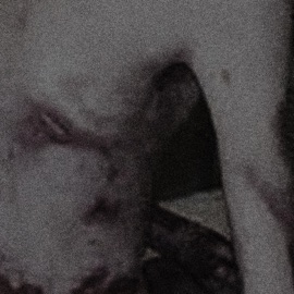 ButterflySkin (feat. Aura Abnormal & The Virus and Antidote) Slain