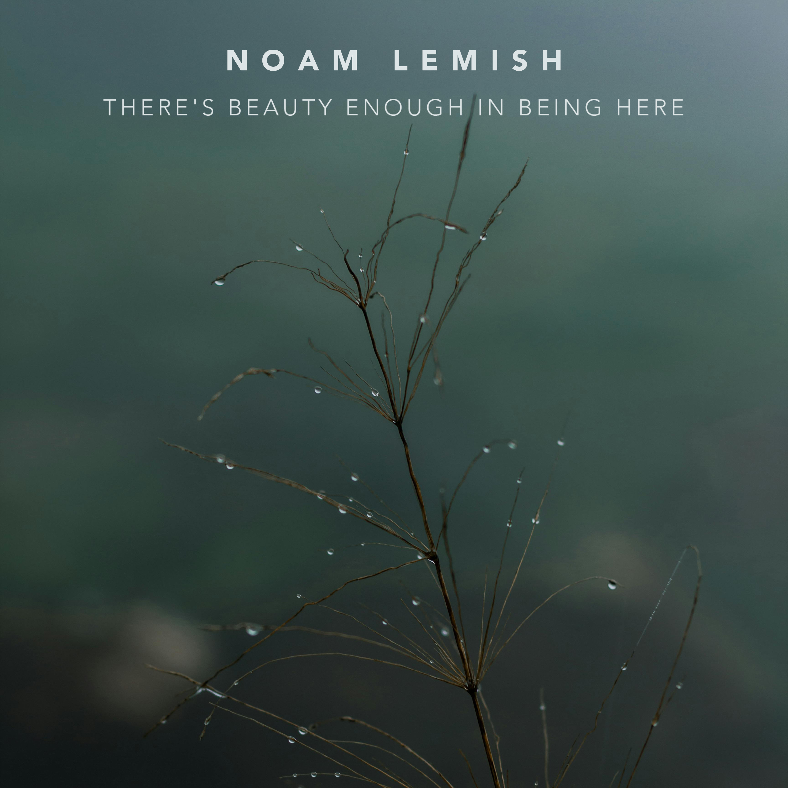 Noam Lemish - Song for Rona