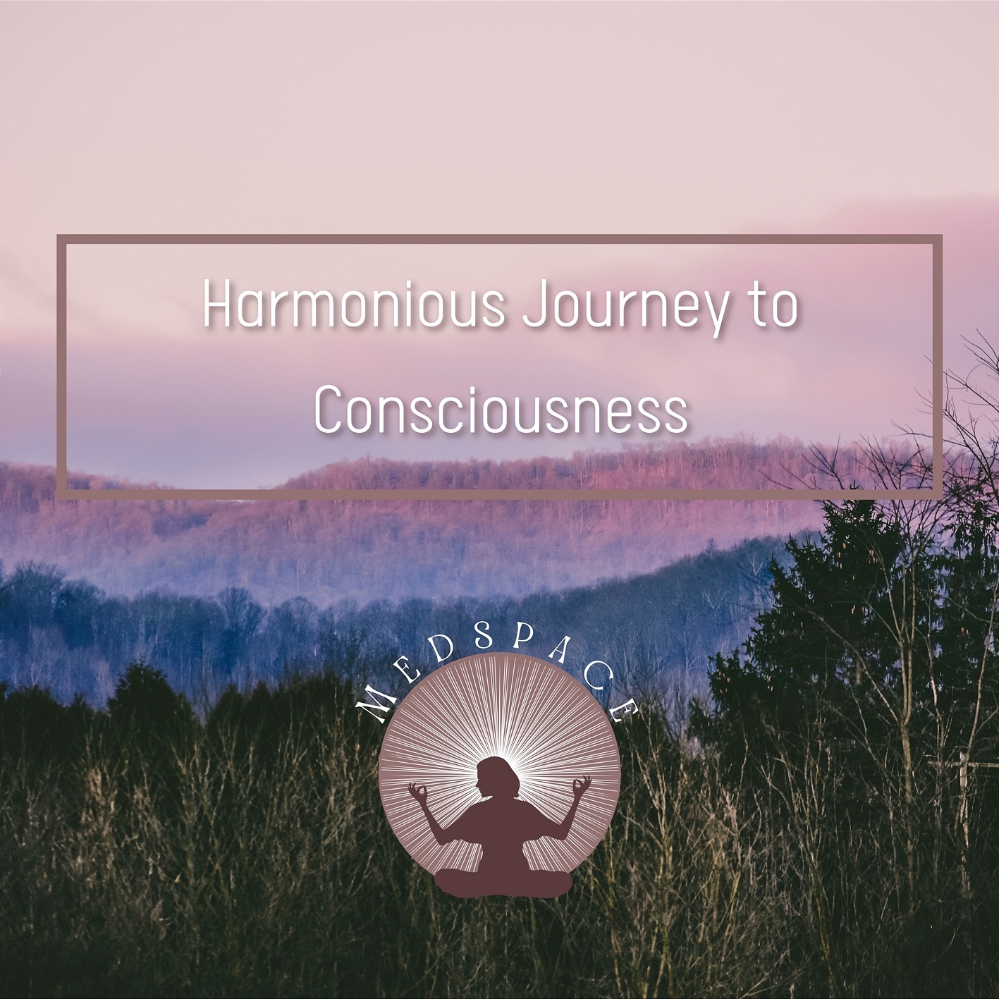 Harmonious Journey to Consciousness: Mindfulness Through Flute Music
