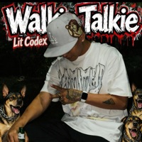 Wolkitoky (feat. Lit codex) - Single - CODEINE BOYZ