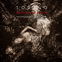 Torino - Single - Bridging the Divide
