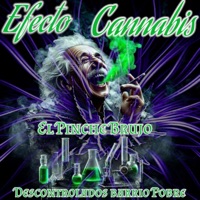 Efecto Cannabis (feat. El Pinche Brujo & Descontrolados Barrio Pobre) - Single - Tinajo S13