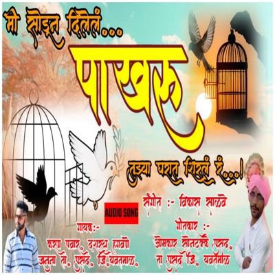 Mi Sodun Dilel Pakharu Tujha Gharat Shiral G (feat. Omkar Sontakke & Sopan Mahajan) - Single