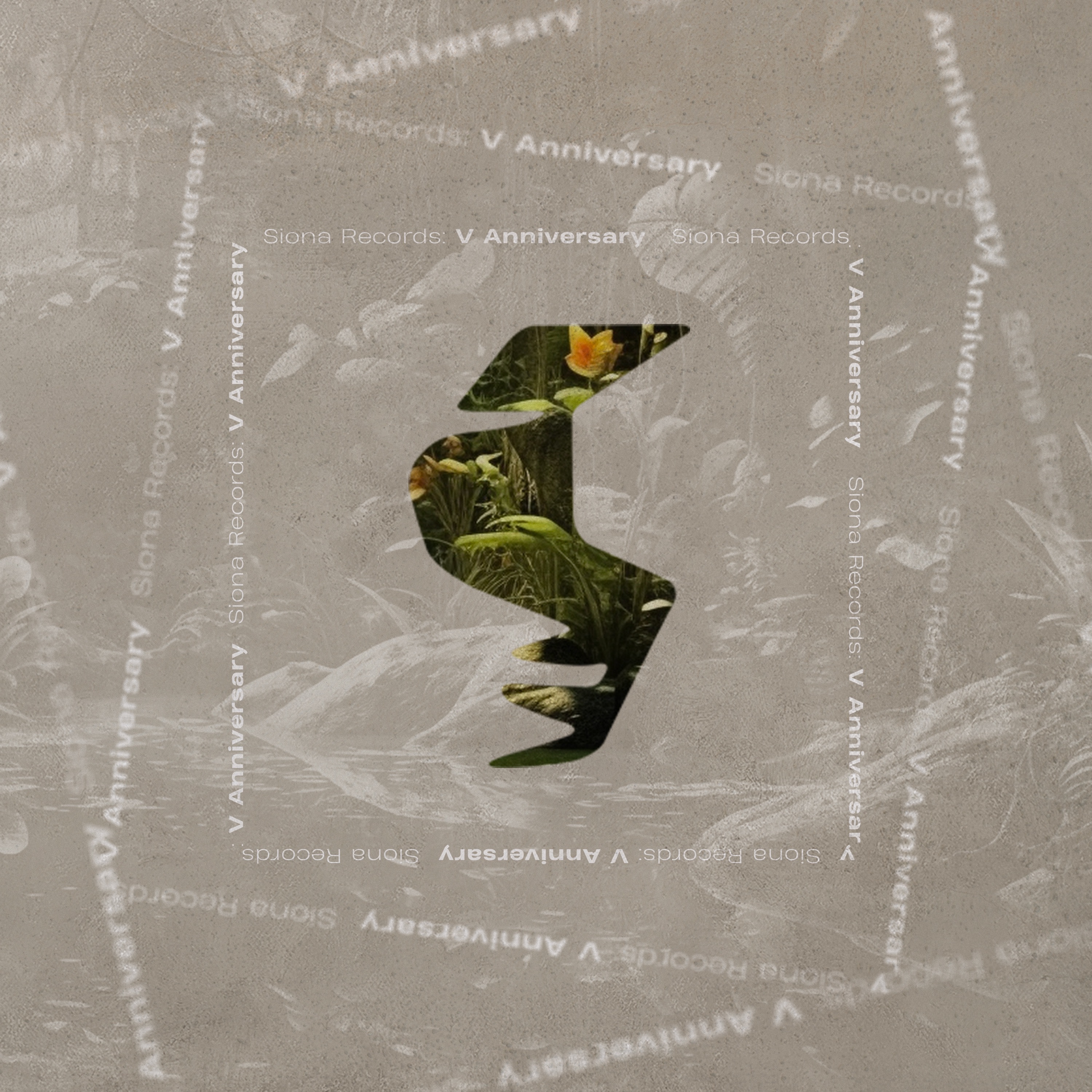 Siona Records: V Anniversary - Single