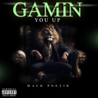 Gamin you up - Single - OG Poppy