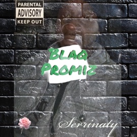 BAR(storming) (feat. SIC MIC) [Explicit Version] Blaq Promiz