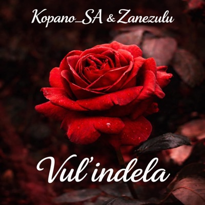 Vul' indlela - Single