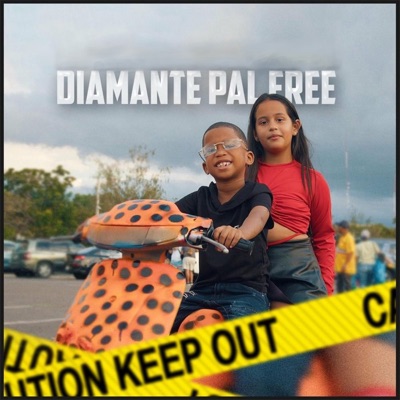 Diamantes Pal Free (feat. Tilin Insano & Dejavu FF) - Single