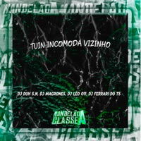 Tuin Incomoda Vizinho (feat. DJ FERRARI DO TS) - Single - DJ DUH S.N, DJ Magrones & DJ Léo 011