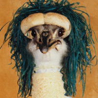 САША - Рудольф Страусов