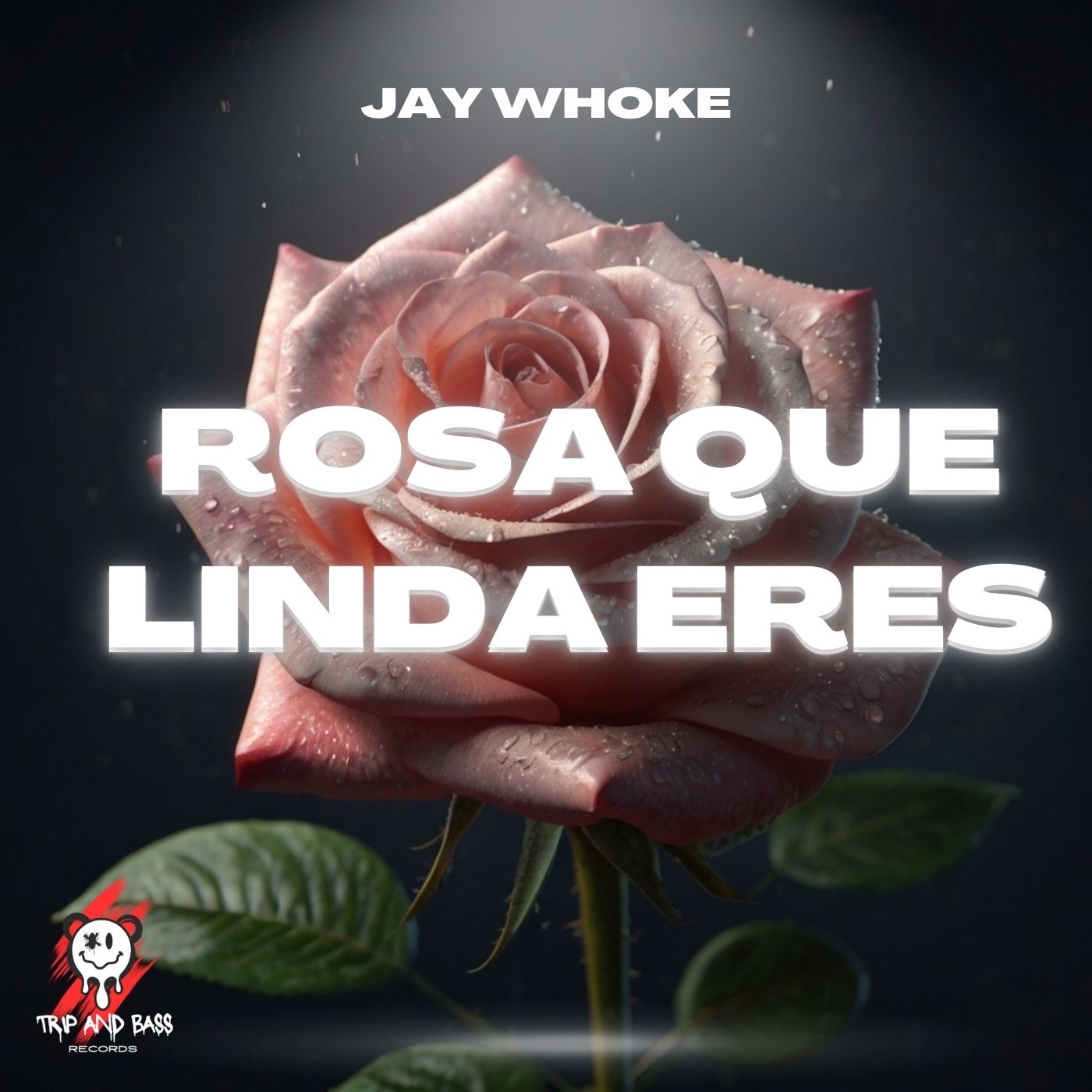 Rosa Que Linda Eres - TECH HOUSE - Single