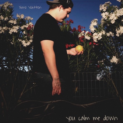 you calm me down - Single